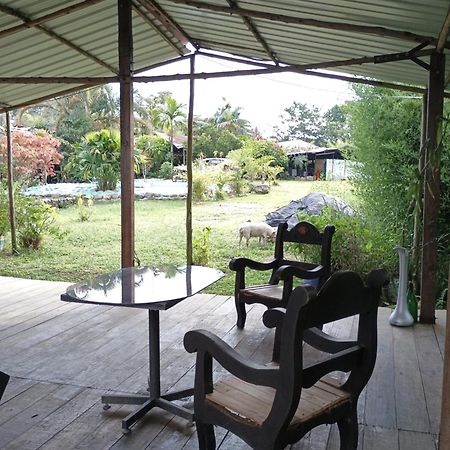 Posadamanduka Eco-Hostel 比亚维森西奥 外观 照片