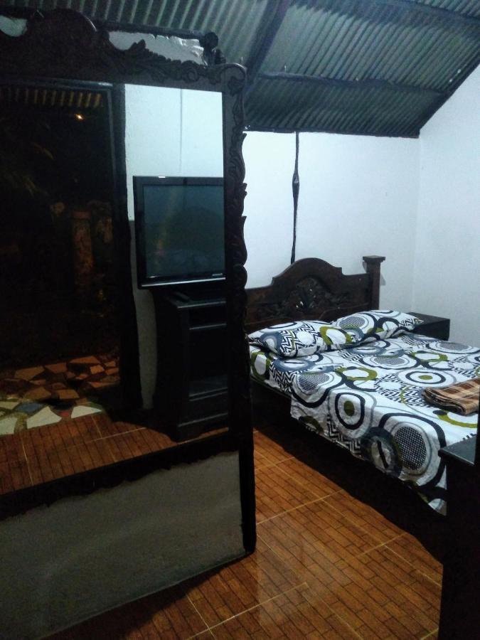 Posadamanduka Eco-Hostel 比亚维森西奥 外观 照片