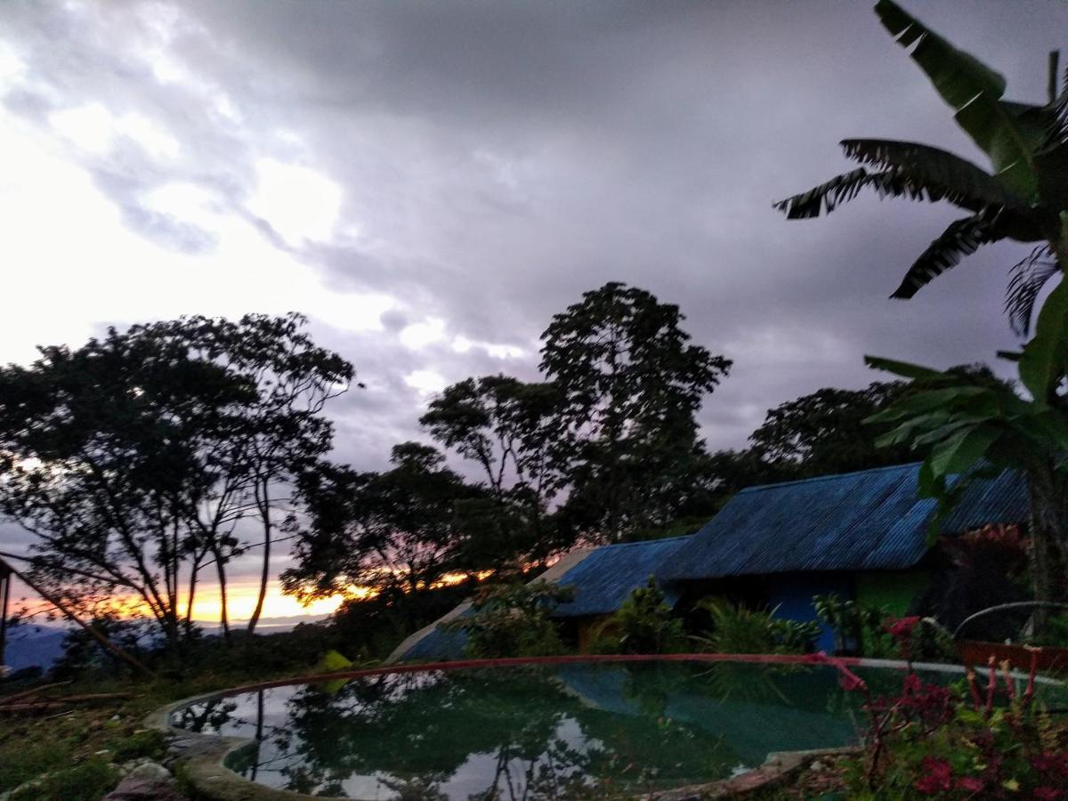 Posadamanduka Eco-Hostel 比亚维森西奥 外观 照片
