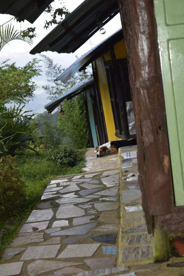 Posadamanduka Eco-Hostel 比亚维森西奥 外观 照片