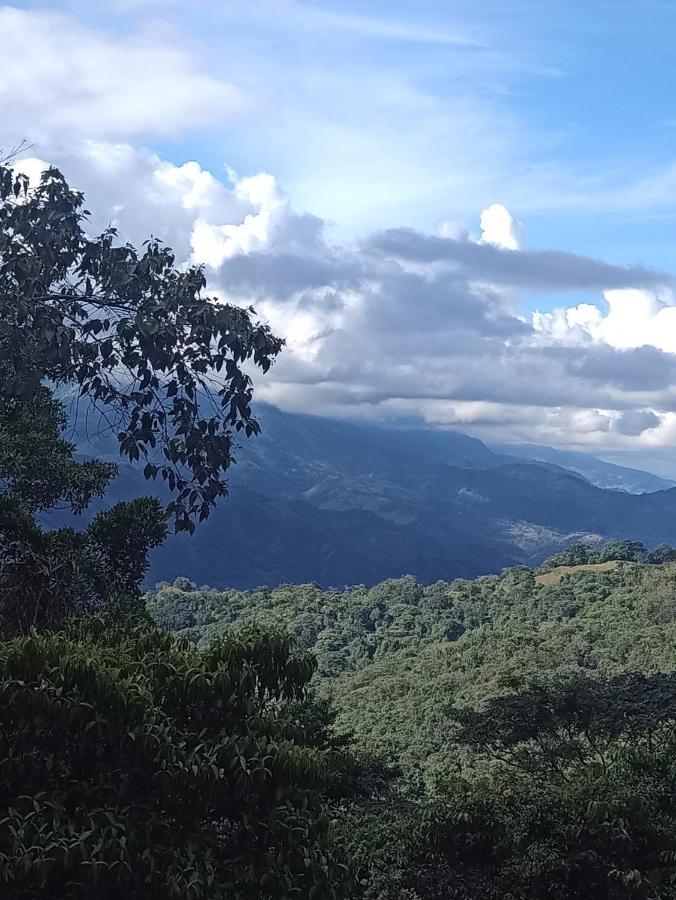 Posadamanduka Eco-Hostel 比亚维森西奥 外观 照片