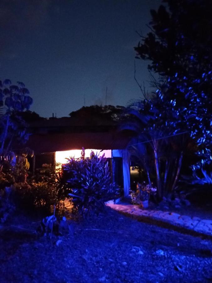 Posadamanduka Eco-Hostel 比亚维森西奥 外观 照片