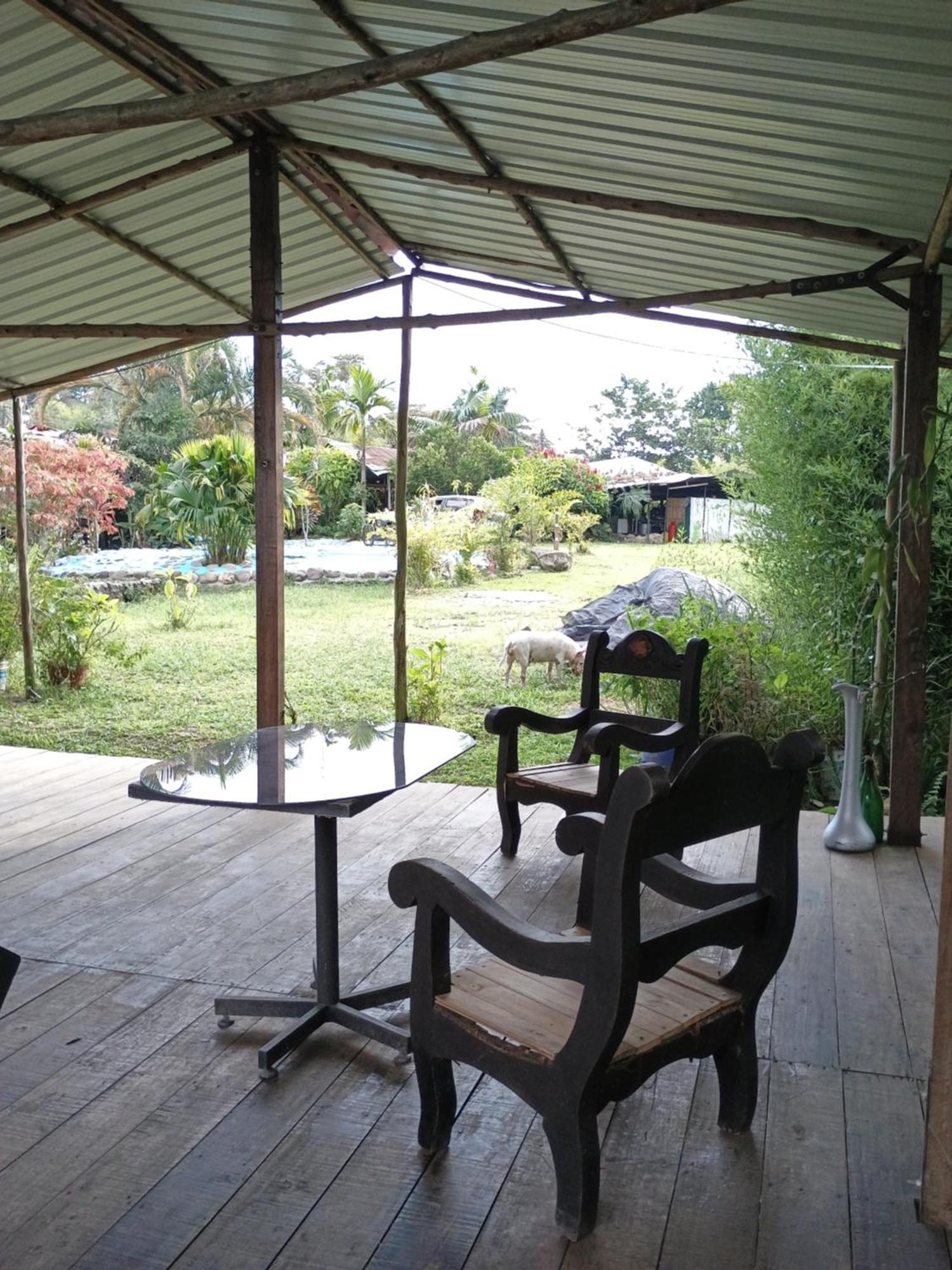 Posadamanduka Eco-Hostel 比亚维森西奥 外观 照片