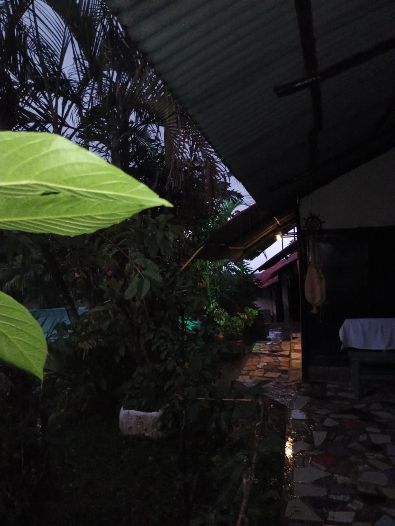 Posadamanduka Eco-Hostel 比亚维森西奥 外观 照片