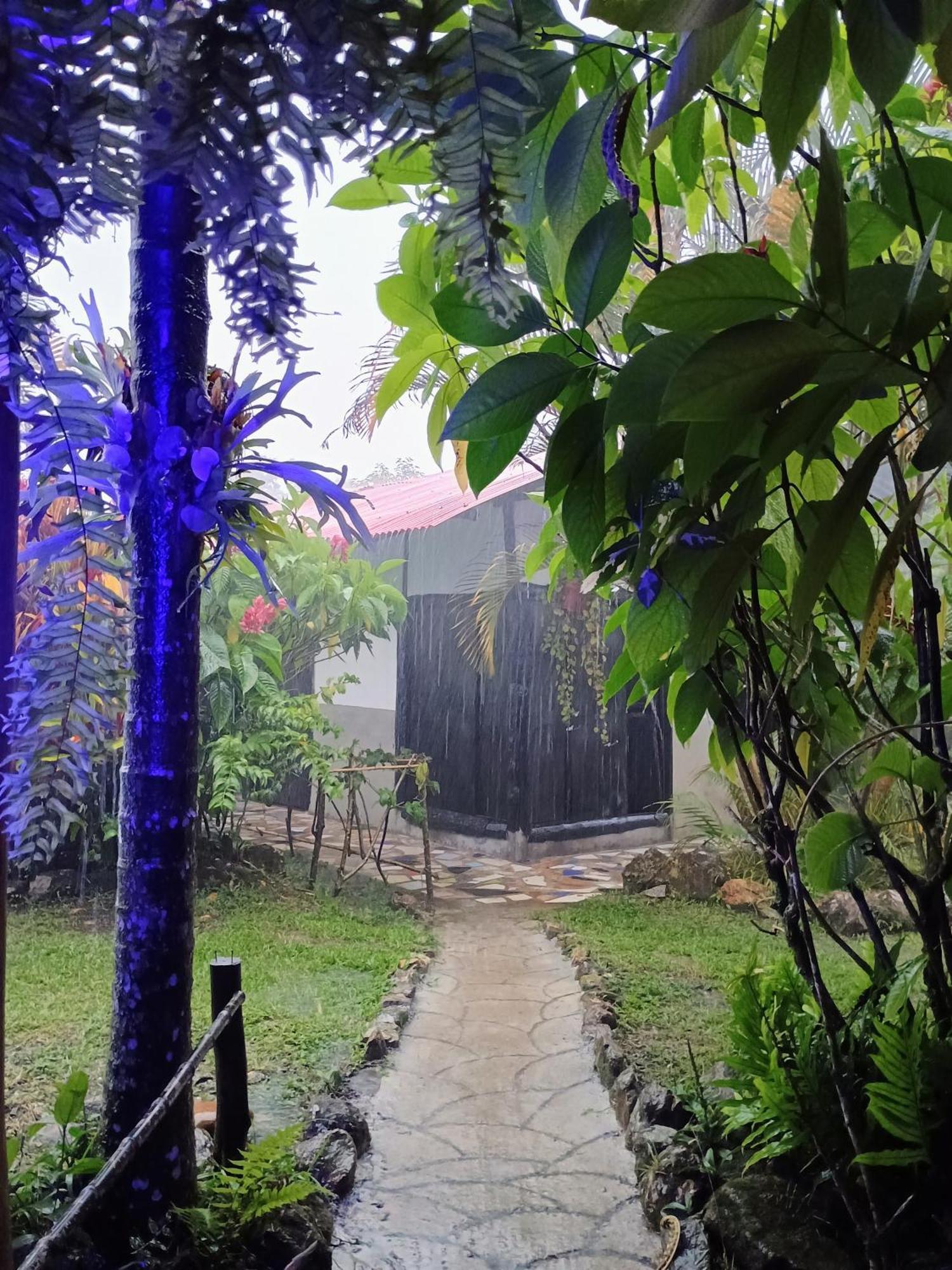 Posadamanduka Eco-Hostel 比亚维森西奥 外观 照片